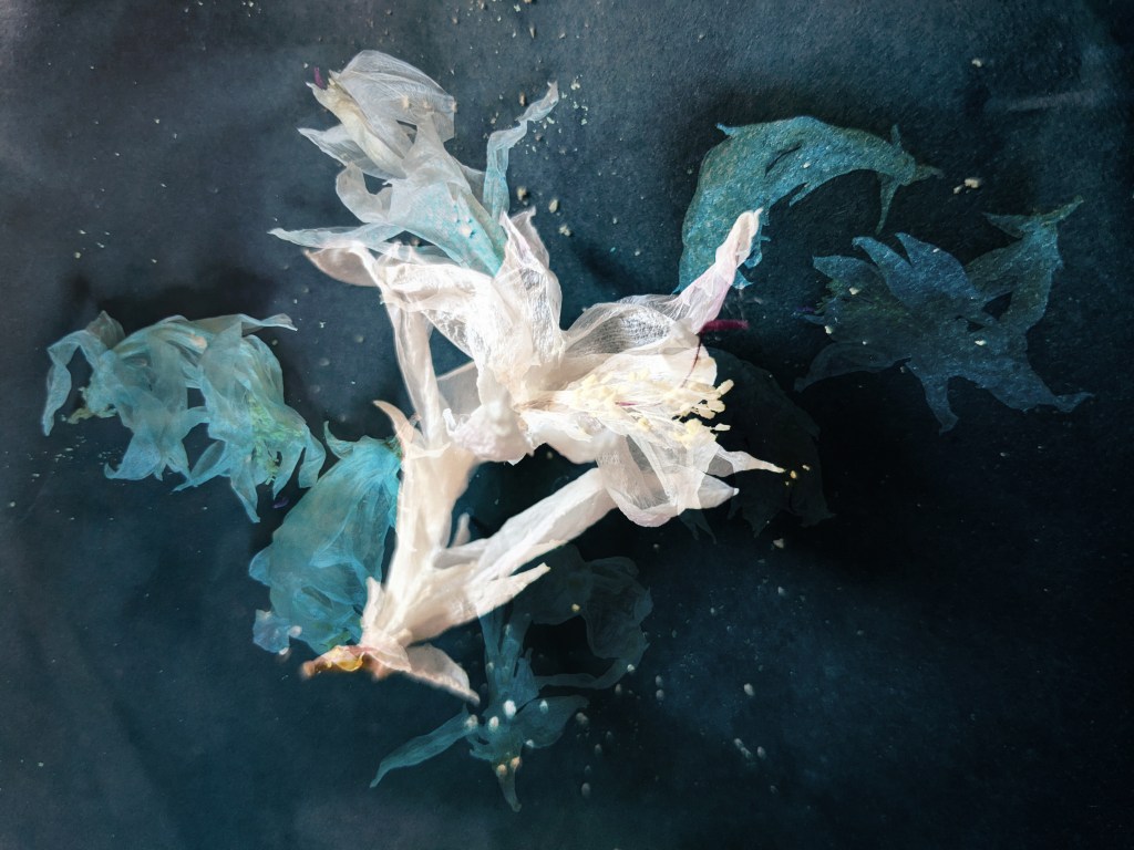 A Story From the Field by&nbsp;Lakshmi