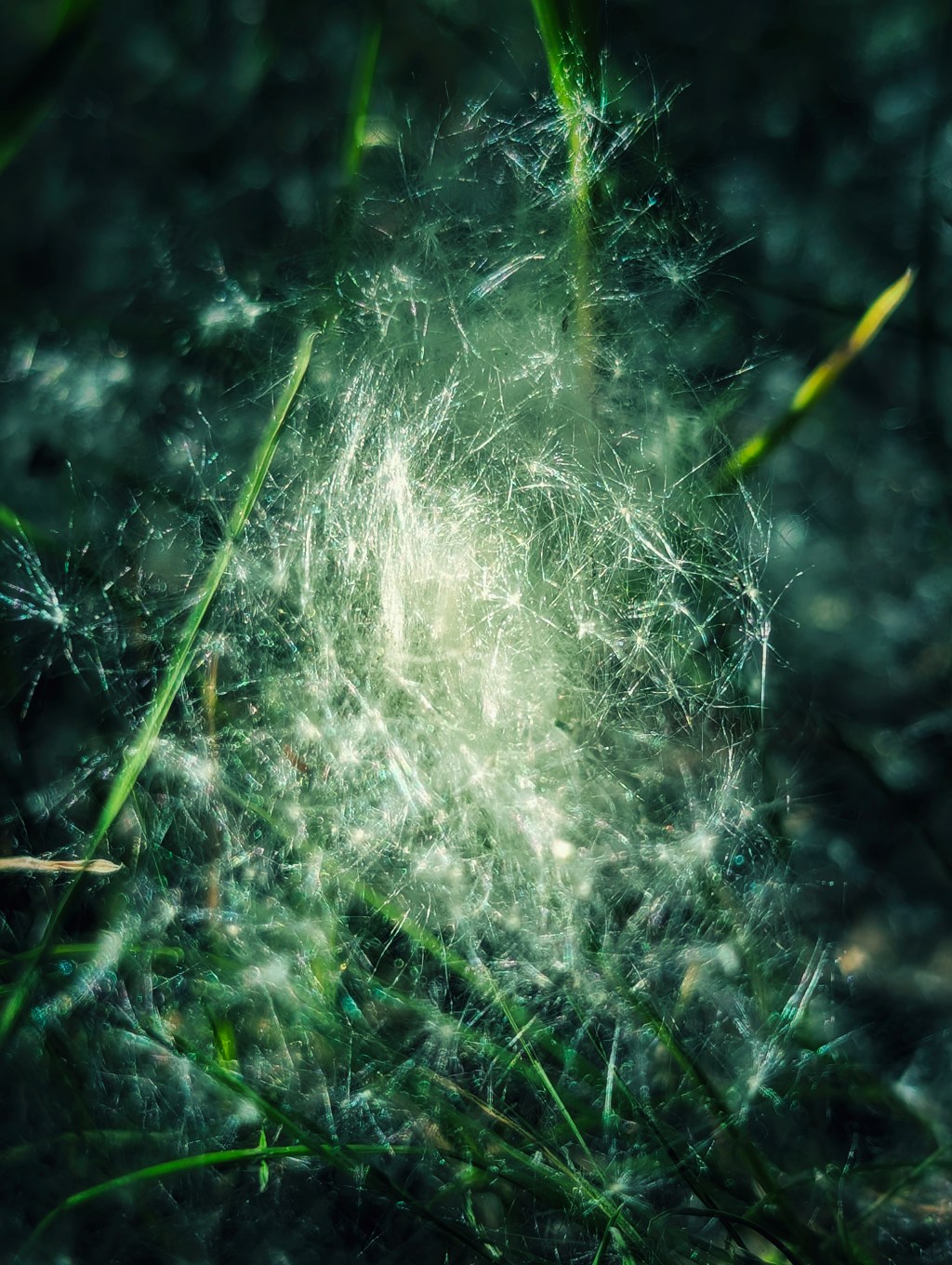 We Will Call It&nbsp;Fate