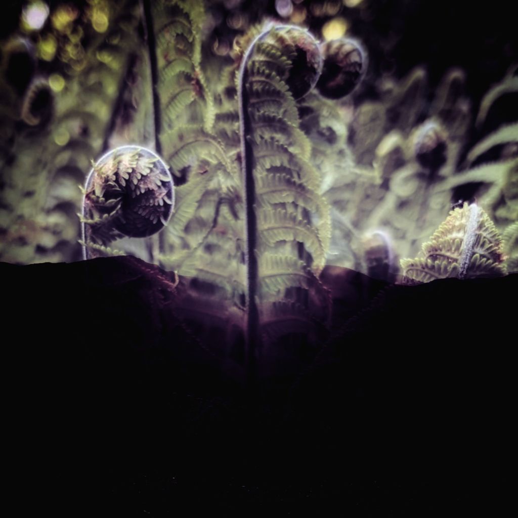 Soil and Soul Dialogues: Eloi&nbsp;Youssef