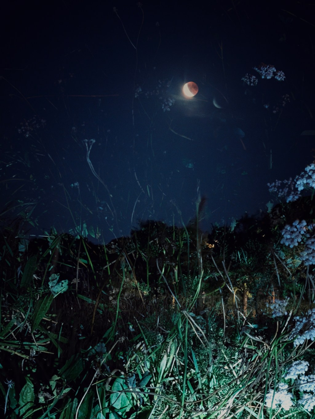 Bed Peace & Proletarian&nbsp;Shopping