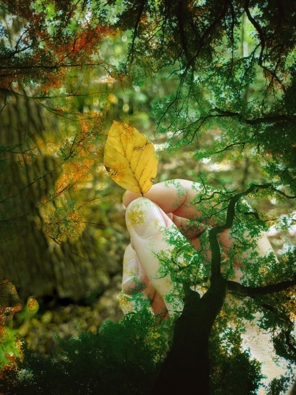 Of Red and&nbsp;Gold