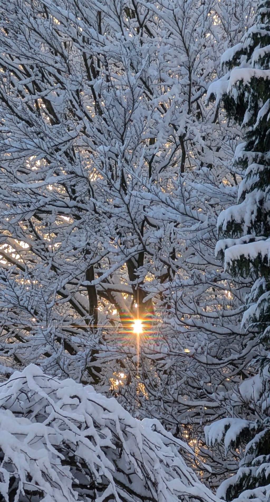 (Oat) Milk for&nbsp;Imbolc