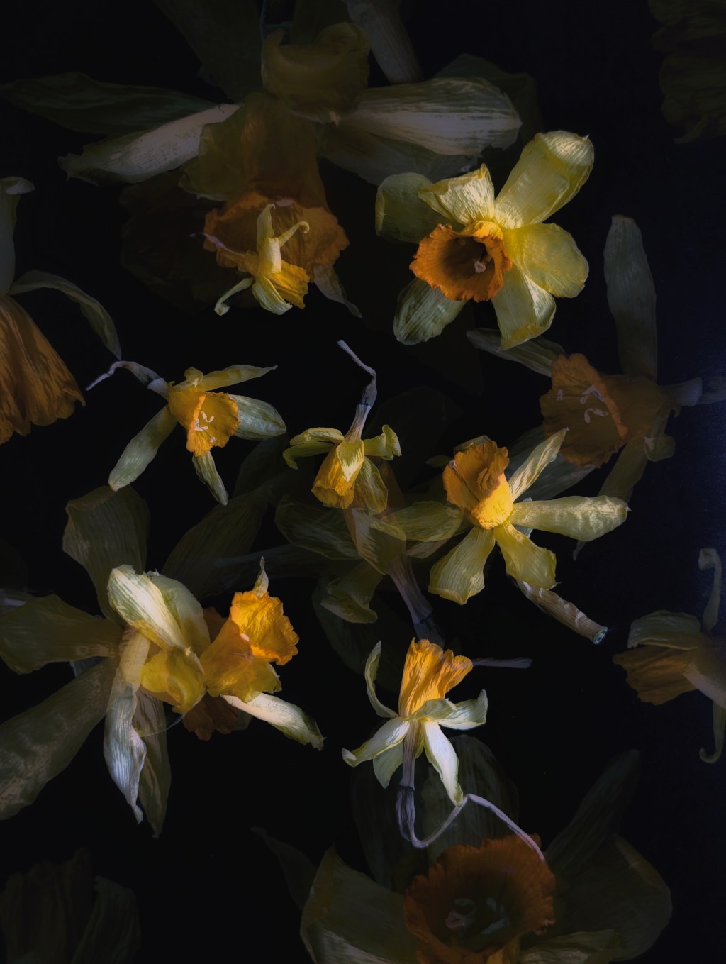 When the Saints Go&nbsp;Marching