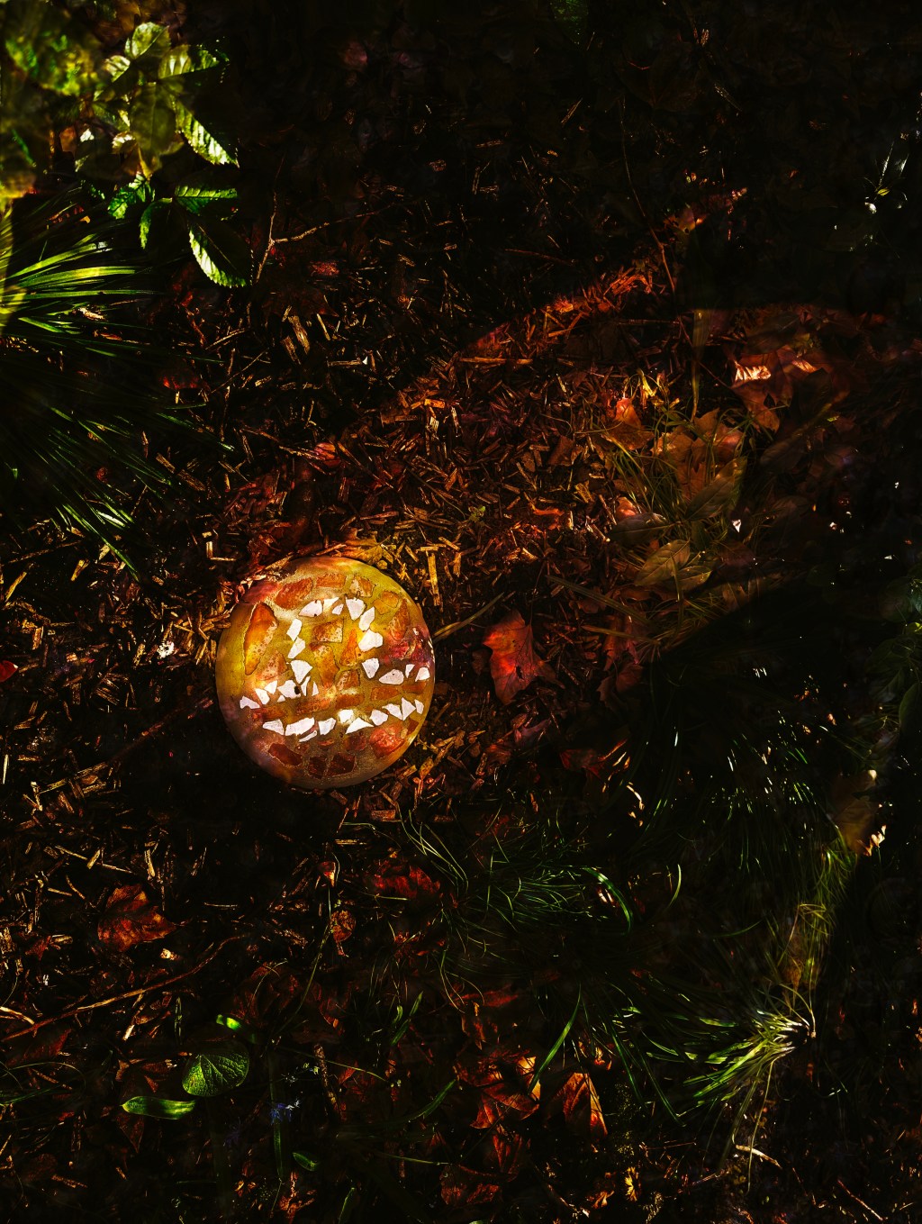 Who Balances the&nbsp;Scales?